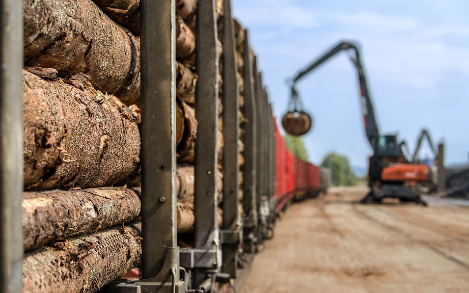 Rohholz-Baumstämme werden mittels Kran verladen